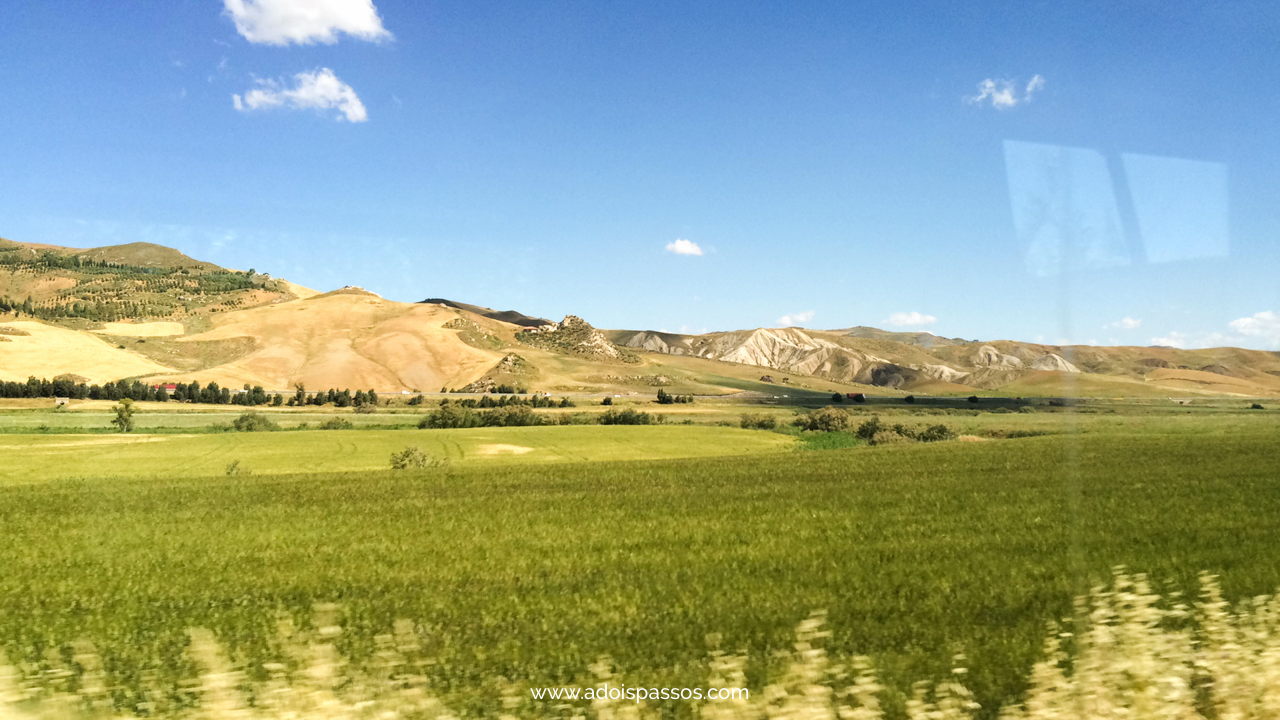Campos verdes ao longo da viagem de trem pela Sicília